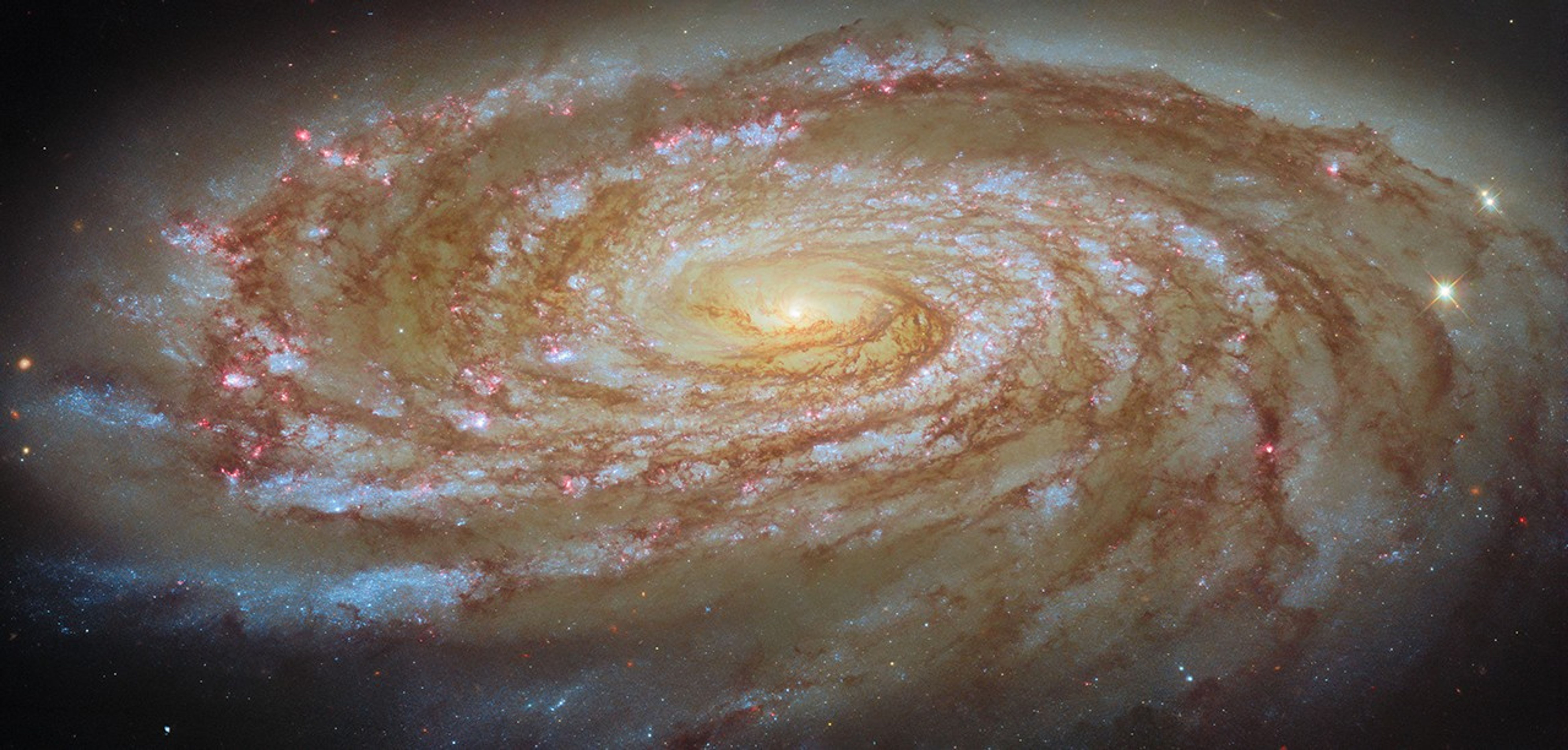 深度解析：2026世界杯热门球队战术分析 - 海星体育